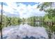 Picturesque view of a calm lake with sky reflections, lined with trees and natural vegetation at 3428 Valley Ranch Dr, Lutz, FL 33548