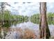 Scenic lake view showcasing the tranquil lake with lush vegetation and trees at 3428 Valley Ranch Dr, Lutz, FL 33548