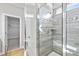 Spa-like glass shower with gray tilework, mosaic accent, and a view of a closet at 34307 Radley Way, Wesley Chapel, FL 33545