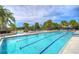 Resort style swimming pool with multiple swimming lanes, palm trees, and lounge chairs at 5933 Caldera Ridge Dr, Lithia, FL 33547