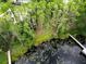 Aerial view of lush lot with mature trees leading to lakefront and private dock at 7216 N Mobley Rd, Odessa, FL 33556