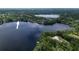 Aerial view of lakefront property surrounded by lush greenery, showing waterfront access and natural beauty at 7216 N Mobley Rd, Odessa, FL 33556