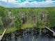 Aerial view showcases the serene lake and lush shoreline, highlighting natural beauty and tranquil waters at 7216 N Mobley Rd, Odessa, FL 33556