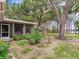 Beautiful backyard with mature trees, lush landscaping, and a screened-in lanai at 7216 N Mobley Rd, Odessa, FL 33556