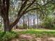 Lush greenery and majestic trees create a serene atmosphere for this sprawling yard at 7216 N Mobley Rd, Odessa, FL 33556