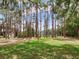 The tranquil backyard features tall trees, providing a serene and shaded outdoor oasis at 7216 N Mobley Rd, Odessa, FL 33556