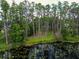 Scenic waterfront lot with mature trees and calm water, offering a serene and private setting at 7216 N Mobley Rd, Odessa, FL 33556
