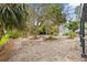 The backyard features mature trees, gravel landscape, and tropical plants at 824 35Th Avenue W Dr, Palmetto, FL 34221