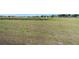 Image shows large open backyard space at 8305 Palencia Dr, Port Richey, FL 34668