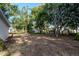 Backyard featuring trees at 108 E Morgan St, Brandon, FL 33510
