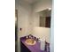Bathroom with pink sink and purple counter, showing mirror and partial shower view at 1100 Union S St, St Petersburg, FL 33712