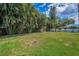 Lush backyard featuring verdant lawn and mature tropical landscaping at 1212 Royal Oak Dr, Dunedin, FL 34698