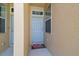 Welcoming front door with sidelight, creating a bright and inviting entryway at 2234 Lennox Dale Ln, Brandon, FL 33510