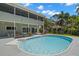 Back of house showing covered patio and backyard pool at 261 Kentucky Ave, Crystal Beach, FL 34681
