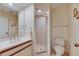 Bathroom featuring a tiled shower stall, toilet, and vanity with a large mirror at 29903 Baywood Ln, Wesley Chapel, FL 33543
