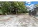 Spacious backyard with mature trees and an adjacent screened-in pool area, offering privacy at 30 Pinetree Ct, Palm Harbor, FL 34683