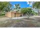 Large backyard featuring a mature tree, ample space, and a partial view of the screened pool at 30 Pinetree Ct, Palm Harbor, FL 34683