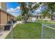 Spacious backyard with well-maintained lawn, mature tree, and partial fence for privacy at 30 Pinetree Ct, Palm Harbor, FL 34683