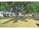 A spacious backyard features a large tree with a swing and plenty of room for outdoor activities at 3440 Crenshaw Lake Rd, Lutz, FL 33548