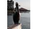 Pelican standing on pier with water and building in background at 3505 Tarpon Woods Blvd # P408, Palm Harbor, FL 34685