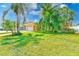 Well-manicured front lawn showcasing the home's curb appeal with mature palm trees at 365 La Hacienda Dr, Indian Rocks Beach, FL 33785