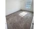 A sunlit bedroom with plush carpeting and a window looking outside at 5310 Companion Ln, Tampa, FL 33619