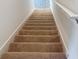 Closer view of carpeted stairs, showcasing the clean, modern aesthetic of the home at 5310 Companion Ln, Tampa, FL 33619