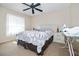 Bedroom featuring a ceiling fan, neutral carpet, and a light-colored bed frame at 6237 Greenwich Dr, Tampa, FL 33647