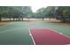 Community basketball court with a green and red surface at 7107 Colonial Lake Dr, Riverview, FL 33578