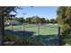 Community tennis courts surrounded by lush landscaping at 7107 Colonial Lake Dr, Riverview, FL 33578