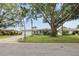 Attractive home with palm trees, and green lawn, surrounded by neighboring properties at 811 Woodley Rd, Clearwater, FL 33764