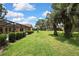 Expansive backyard with well-maintained lawn and tropical palm trees, perfect for outdoor activities at 9346 Southern Belle Dr, Weeki Wachee, FL 34613