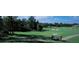 Picturesque golf course with golfers on a sunny day, complete with lush greenery and golf carts at 9346 Southern Belle Dr, Weeki Wachee, FL 34613