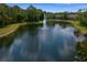 Aerial view of a tranquil pond with a water fountain feature, surrounded by lush greenery and landscaping at 18939 Duquesne Dr, Tampa, FL 33647