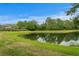Scenic view of the pond with lush green landscaping under a clear blue sky at 18939 Duquesne Dr, Tampa, FL 33647