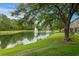 Scenic view of the pond with fountain feature and tree shaded lawn at 18939 Duquesne Dr, Tampa, FL 33647