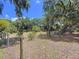 Expansive backyard with lush greenery and mature trees, providing a serene and private outdoor space at 3544 Porter Rd, Lithia, FL 33547
