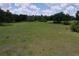 Lush green field beneath a bright sky dotted with fluffy clouds, offering a tranquil and picturesque setting at 3544 Porter Rd, Lithia, FL 33547