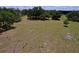 Grassy field with scattered trees and clear blue skies with fluffy clouds providing a serene outdoor atmosphere at 3544 Porter Rd, Lithia, FL 33547