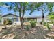 Charming single-story home with mature trees and a well-maintained lawn, offering inviting curb appeal at 508 E Brentridge, Brandon, FL 33511