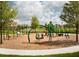 Community playground with swingsets, slides, and climbing equipment at 5728 Watercolor Dr, Lithia, FL 33547