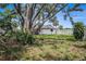 View of a backyard featuring a lush lawn and mature trees at 7004 Lambright Ct, Tampa, FL 33634