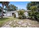Charming home featuring mature landscaping with palm trees and an attached two-car garage at 7004 Lambright Ct, Tampa, FL 33634