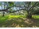 Lush green backyard with mature shade trees creates a private and serene outdoor space at 903 Tomahawk Trl, Brandon, FL 33511