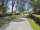 Long, private driveway leading to a distinguished home, lined with hedges and mature trees at 919 Ballinger Rd, Lutz, FL 33548