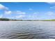 Expansive view of the serene lake, promising a tranquil and picturesque setting at 919 Ballinger Rd, Lutz, FL 33548