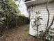 The backyard space is overgrown with vines and brush at 9606 N Newport Ave, Tampa, FL 33612