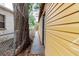Side yard walkway leading to the backyard at 1010 Oakhill St, Seffner, FL 33584