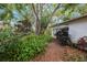 Landscaped front yard featuring a large tree, lush ferns, and colorful tropical plants along a stone path at 13563 Cordova Dr, Largo, FL 33774