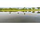 Scenic view of pond and golf course with reflection of trees and sky in water at 2421 Lake Point Ln, Clearwater, FL 33762